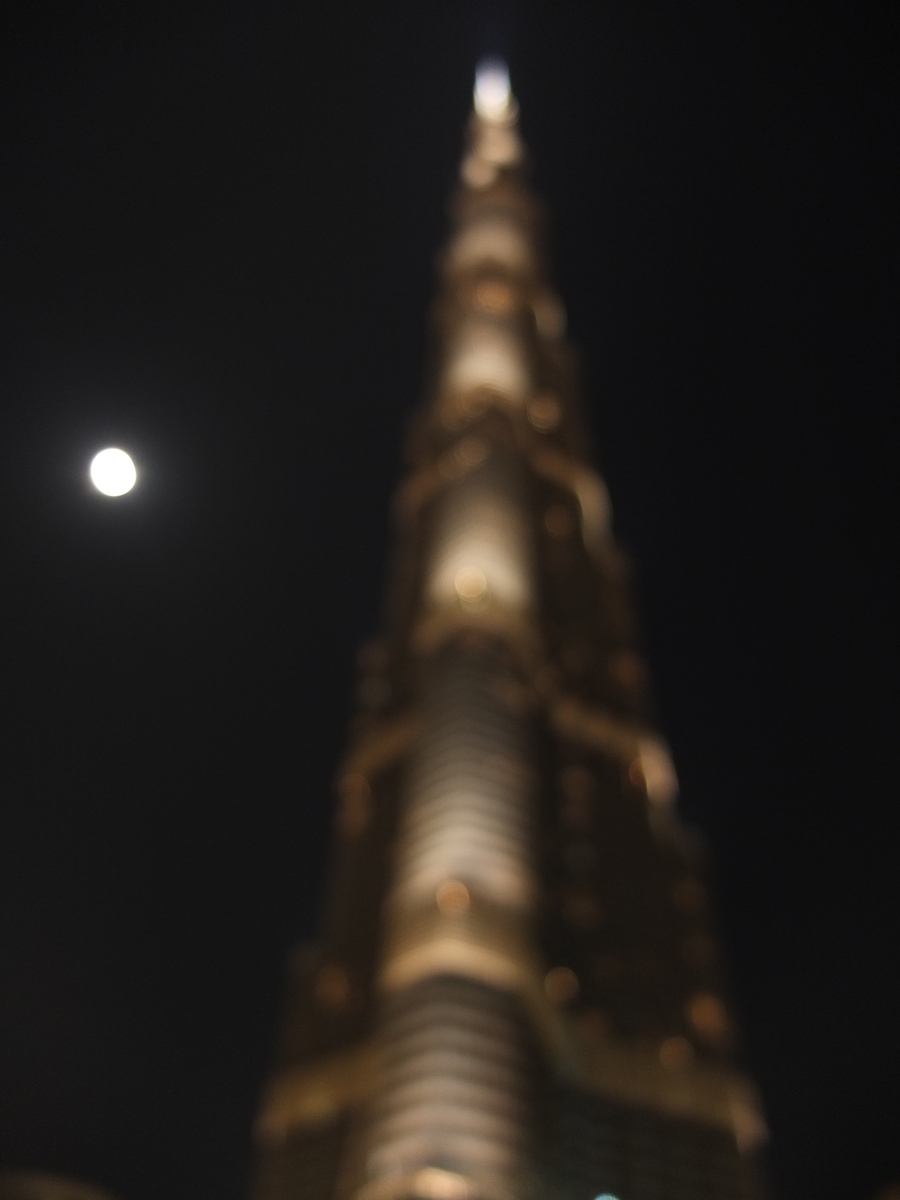 Picture United Arab Emirates Dubai The Dubai Mall 2011-12 16 - Monuments The Dubai Mall