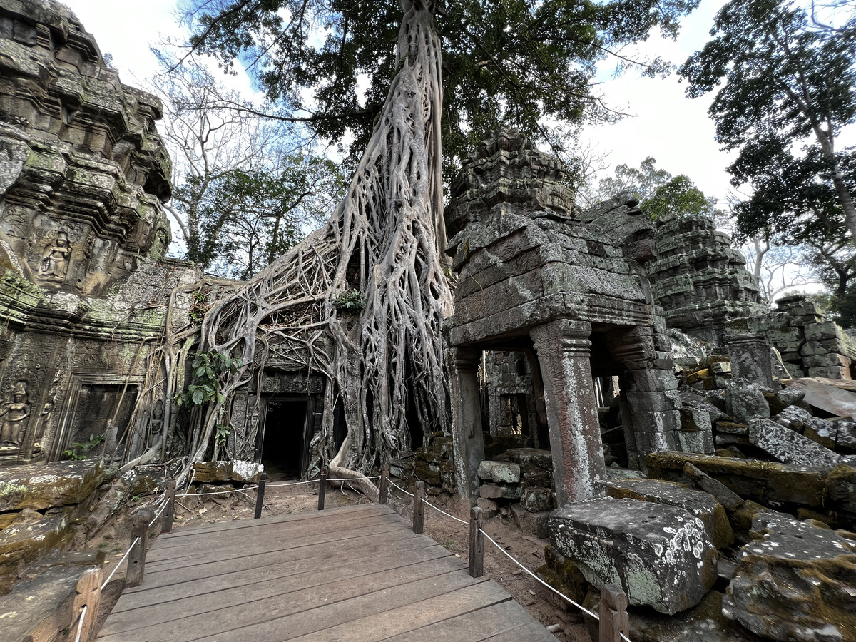 Picture Cambodia Siem Reap Ta Prohm 2023-01 155 - Restaurants Ta Prohm