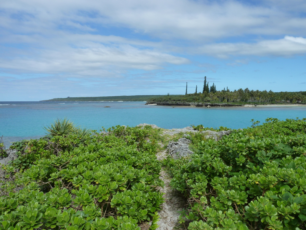 Picture New Caledonia Lifou Baie des tortues 2010-05 11 - Night Baie des tortues