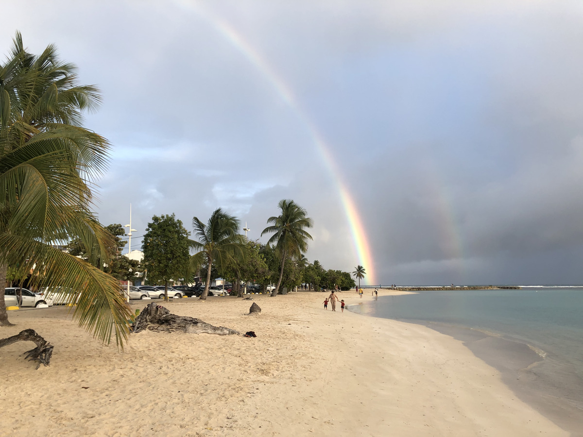 Picture Guadeloupe Sainte Anne 2021-02 63 - Rental Sainte Anne