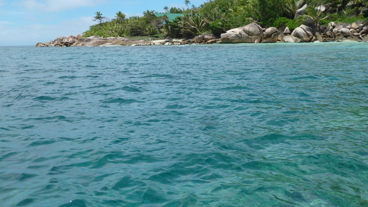 Picture Seychelles Grande Soeur 2011-10 83 - Cheap Room Grande Soeur