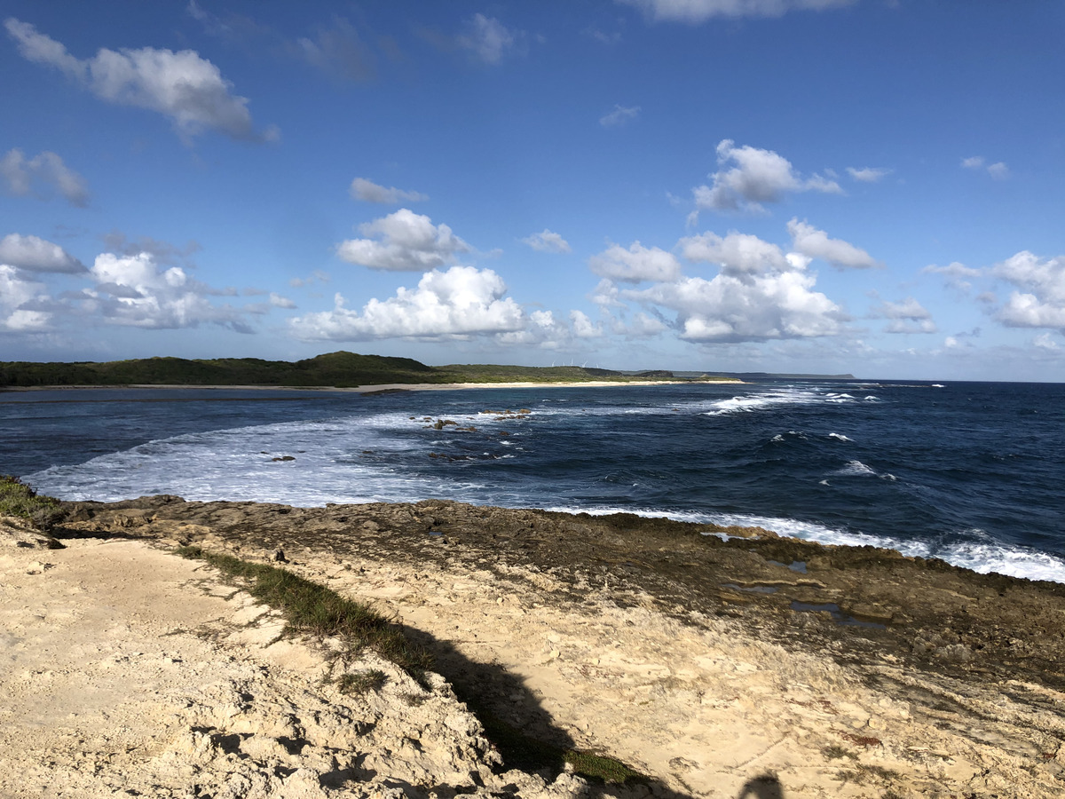 Picture Guadeloupe Castle Point 2021-02 220 - Price Castle Point