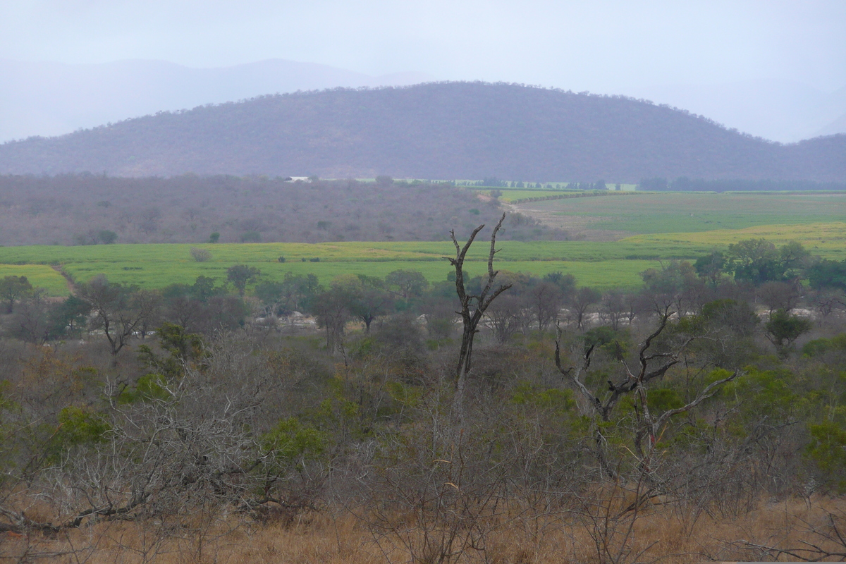 Picture South Africa Kruger National Park Crocodile River road 2008-09 17 - To see Crocodile River road