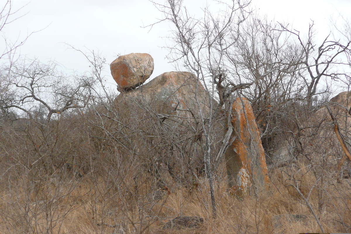 Picture South Africa Kruger National Park Crocodile River road 2008-09 10 - Rooms Crocodile River road