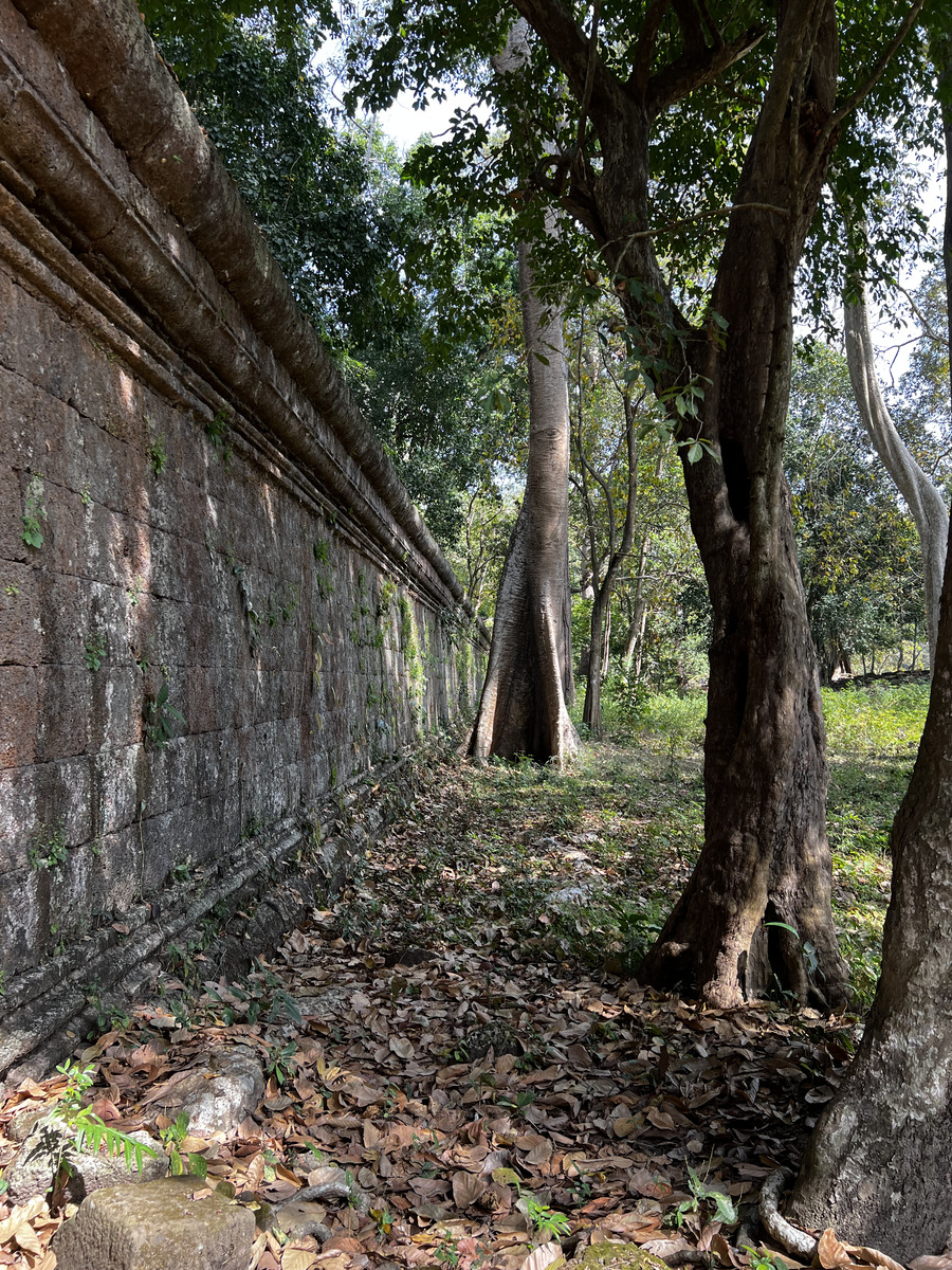 Picture Cambodia Siem Reap Angkor Thom 2023-01 38 - Lakes Angkor Thom