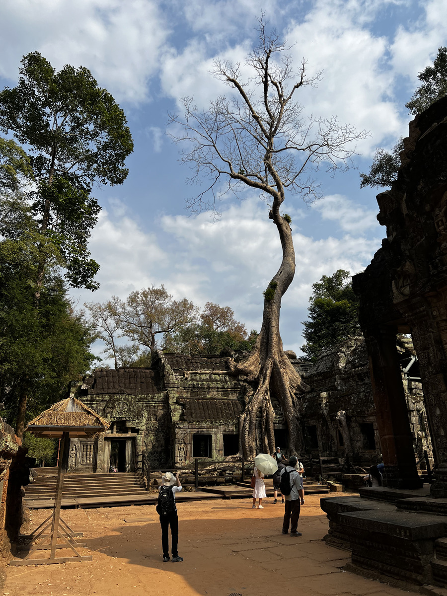 Picture Cambodia Siem Reap Ta Prohm 2023-01 21 - Cheap Room Ta Prohm