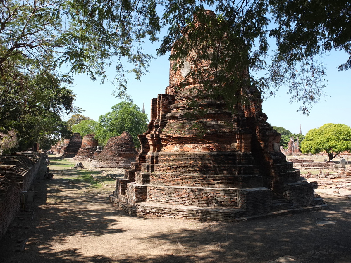 Picture Thailand Ayutthaya 2011-12 94 - Saving Ayutthaya