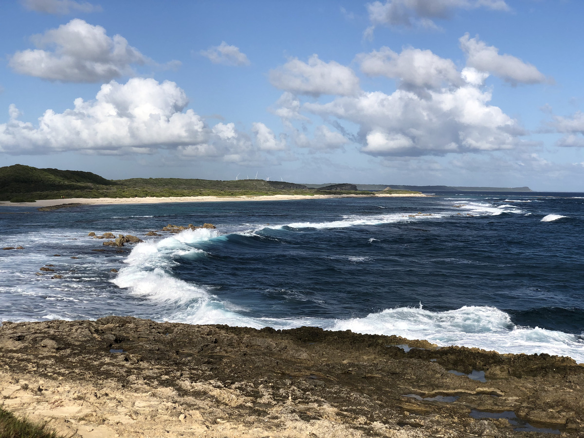 Picture Guadeloupe Castle Point 2021-02 344 - Cost Castle Point