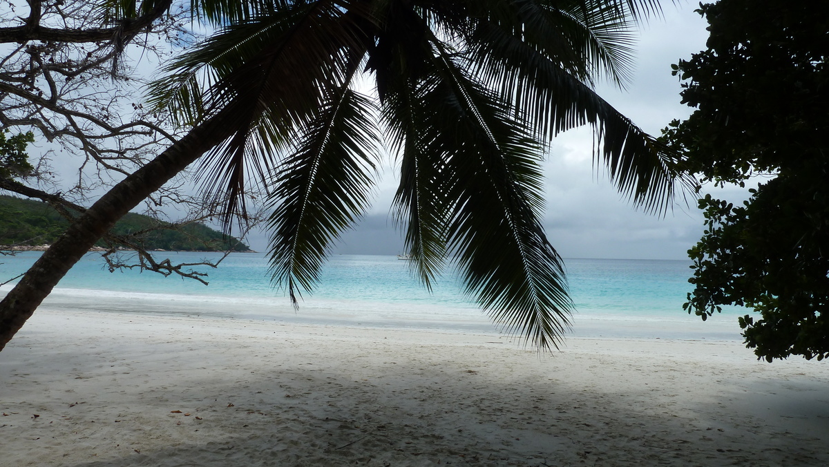 Picture Seychelles Anse Lazio 2011-10 141 - Sauna Anse Lazio