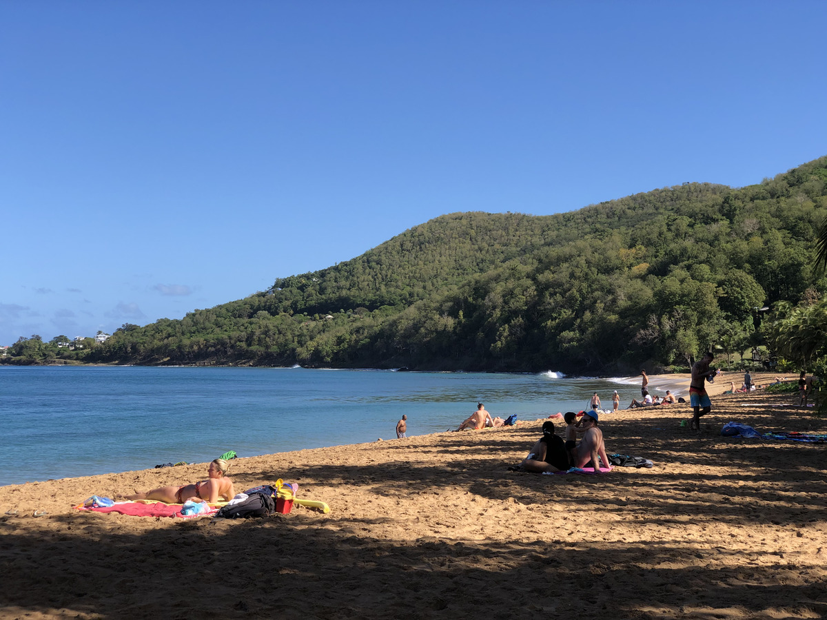 Picture Guadeloupe Grande Hanse Beach 2021-02 12 - Transport Grande Hanse Beach