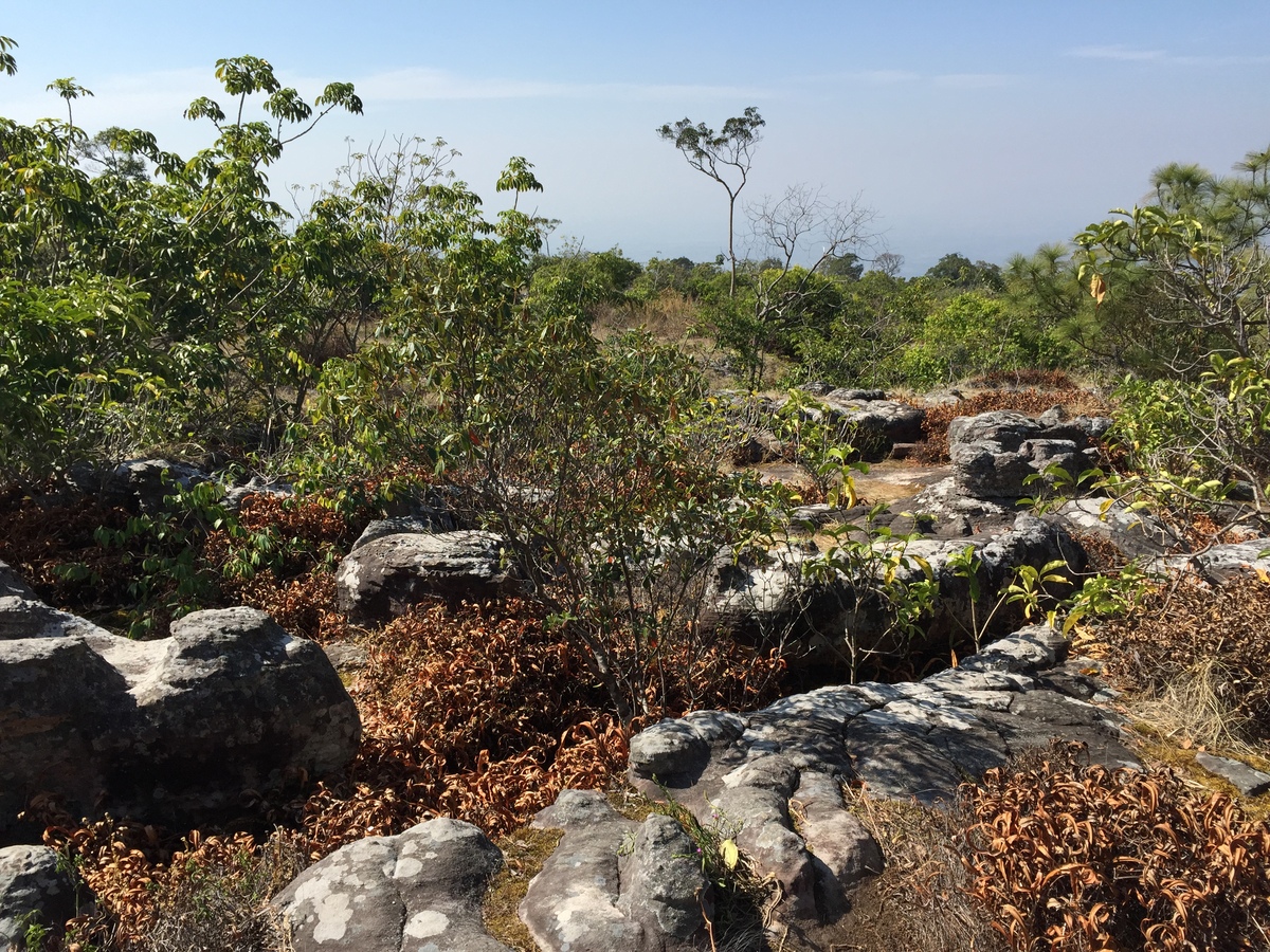 Picture Thailand Phu Hin Rong Kla National Park 2014-12 326 - To see Phu Hin Rong Kla National Park