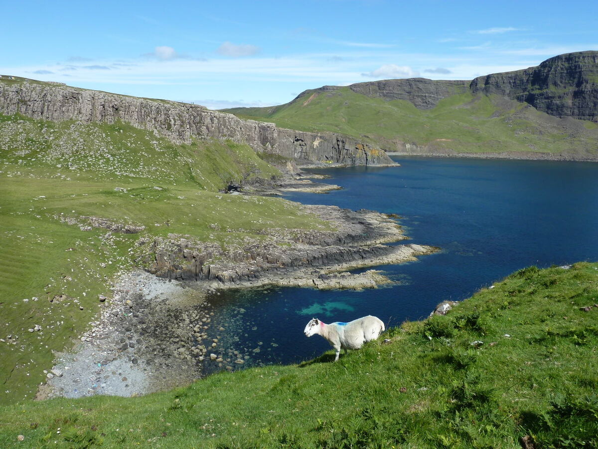 Picture United Kingdom Skye Neist Point 2011-07 34 - Spring Neist Point