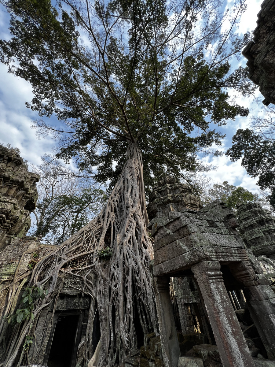 Picture Cambodia Siem Reap Ta Prohm 2023-01 27 - Lake Ta Prohm