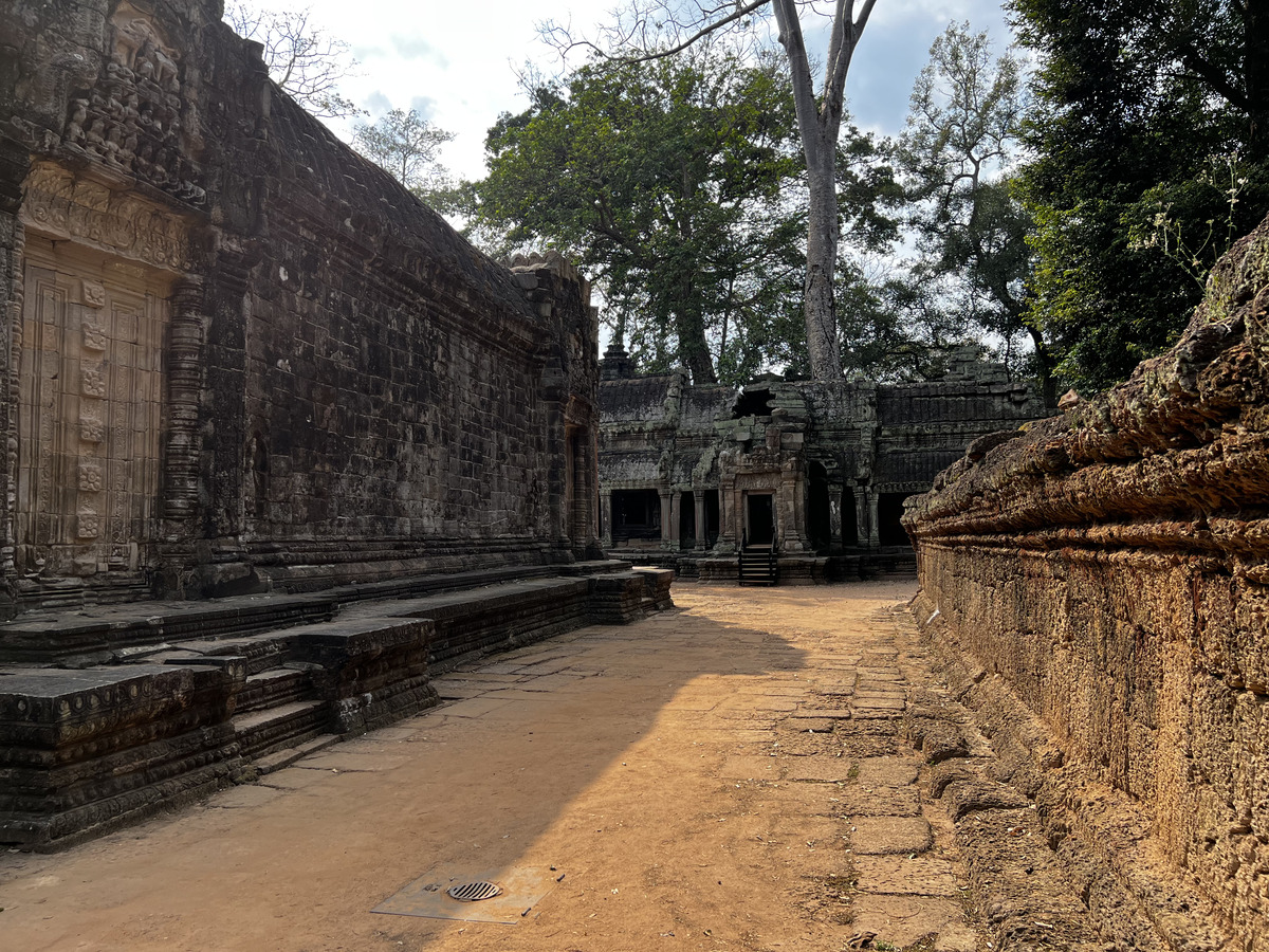 Picture Cambodia Siem Reap Ta Prohm 2023-01 117 - Waterfall Ta Prohm