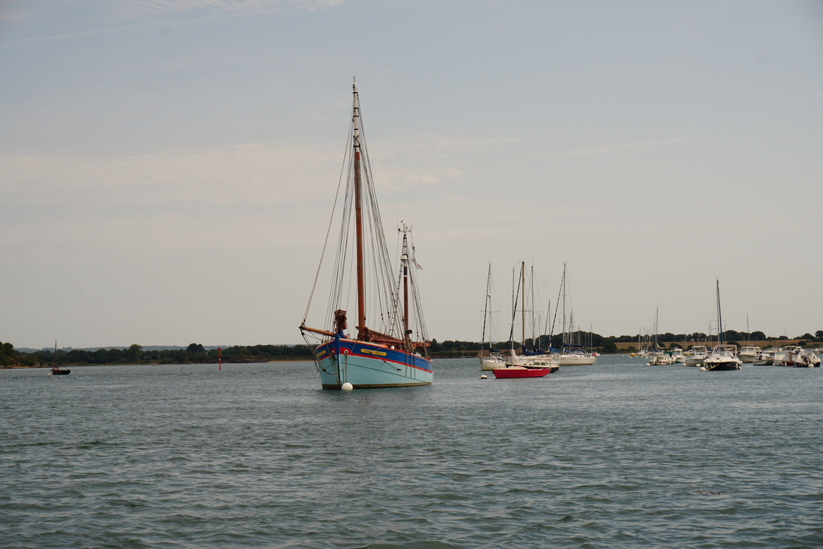 Picture France Golfe du Morbihan 2016-08 18 - Cheap Room Golfe du Morbihan