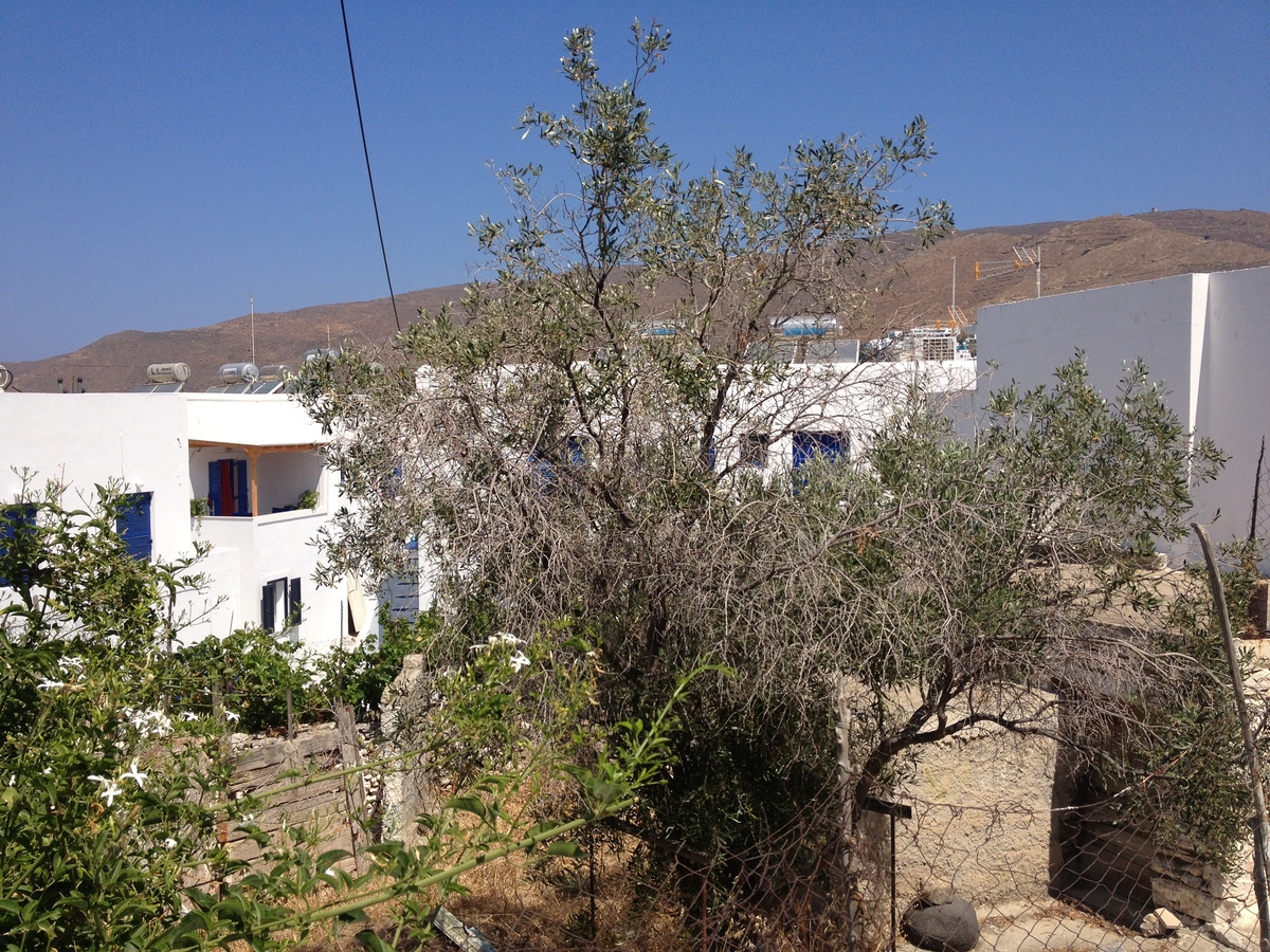 Picture Greece Amorgos 2014-07 422 - City View Amorgos