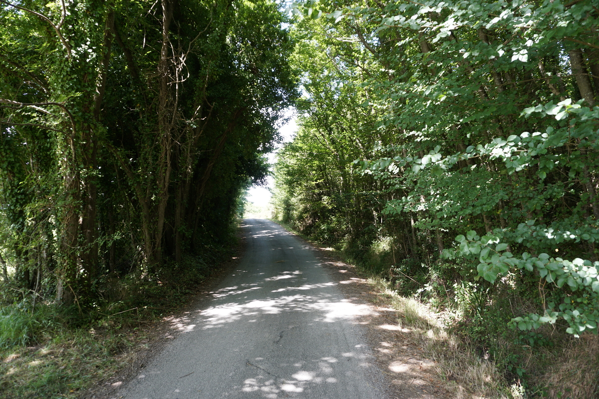 Picture France Belle-Ile 2016-08 33 - To see Belle-Ile