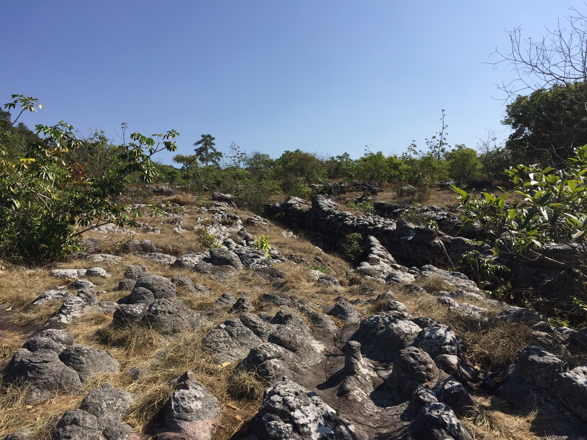 Picture Thailand Phu Hin Rong Kla National Park 2014-12 369 - Hot Season Phu Hin Rong Kla National Park