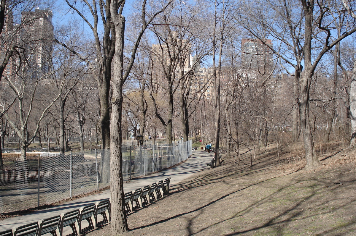 Picture United States New York Central Park 2006-03 11 - Restaurants Central Park