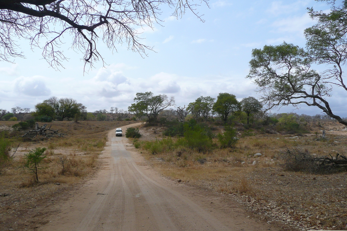 Picture South Africa Kruger National Park Crocodile River road 2008-09 53 - Spring Crocodile River road