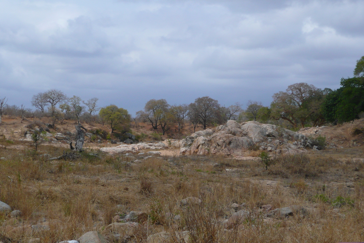 Picture South Africa Kruger National Park Crocodile River road 2008-09 64 - Sunset Crocodile River road