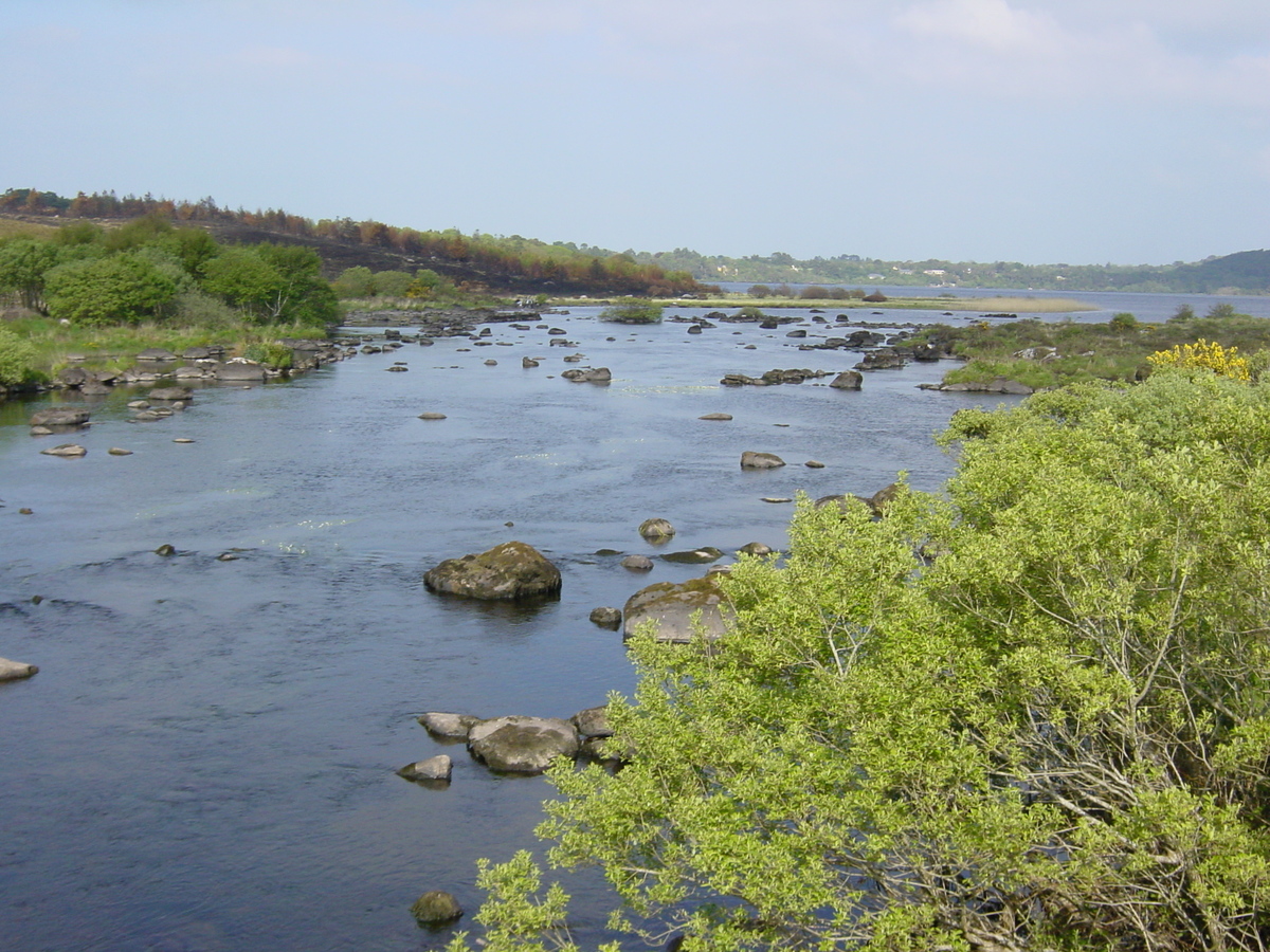 Picture Ireland Kerry Caragh Lake 2004-05 39 - Savings Caragh Lake