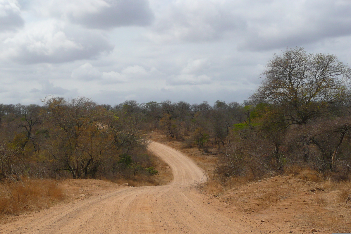 Picture South Africa Kruger National Park Crocodile River road 2008-09 4 - To see Crocodile River road