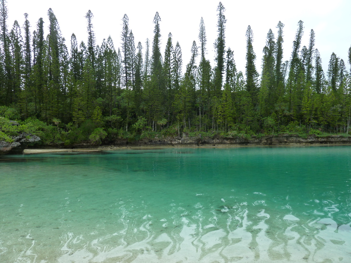 Picture New Caledonia Ile des pins Oro Bay 2010-05 90 - Transport Oro Bay