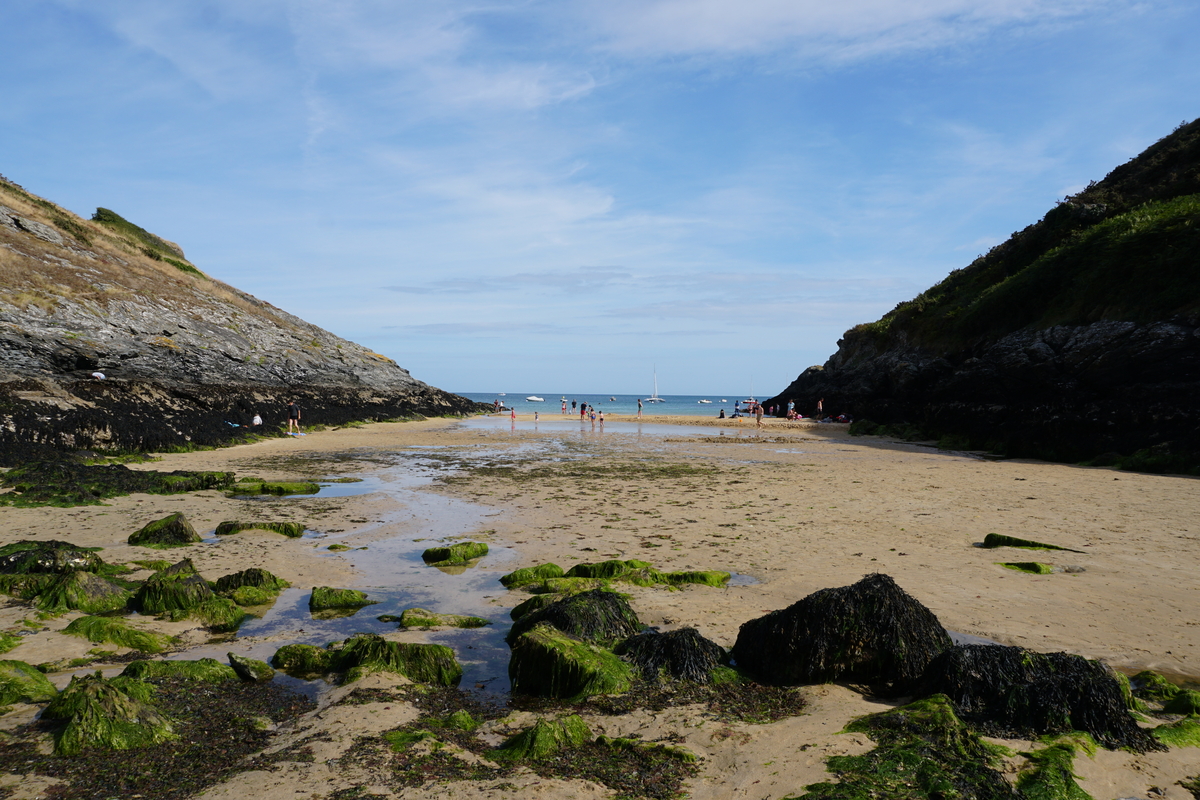 Picture France Belle-Ile 2016-08 47 - Cheap Room Belle-Ile