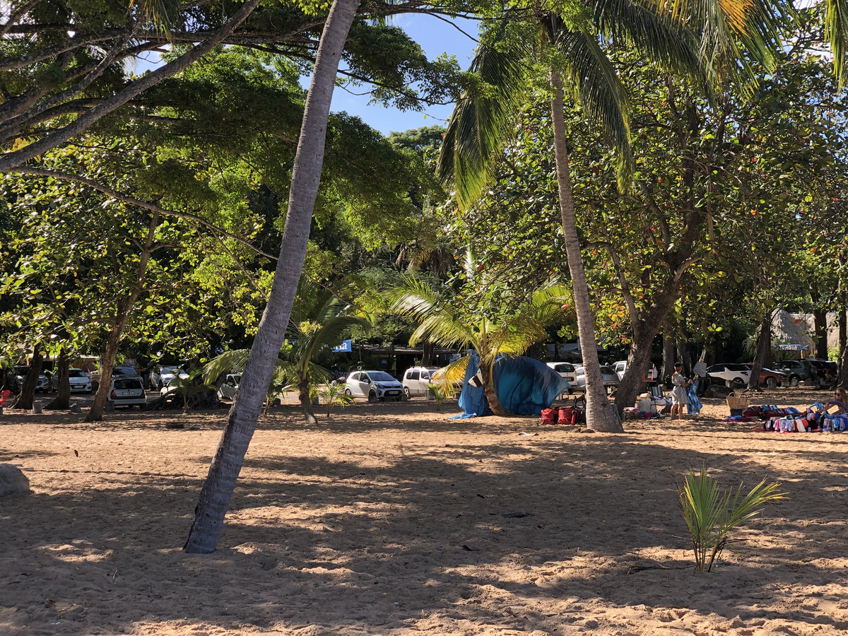 Picture Guadeloupe Grande Hanse Beach 2021-02 17 - Savings Grande Hanse Beach