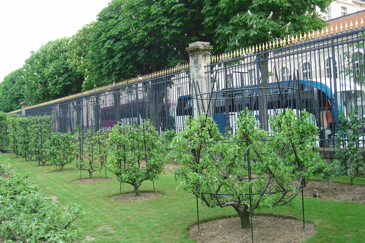 Picture France Paris Luxembourg Garden 2007-04 24 - Lake Luxembourg Garden