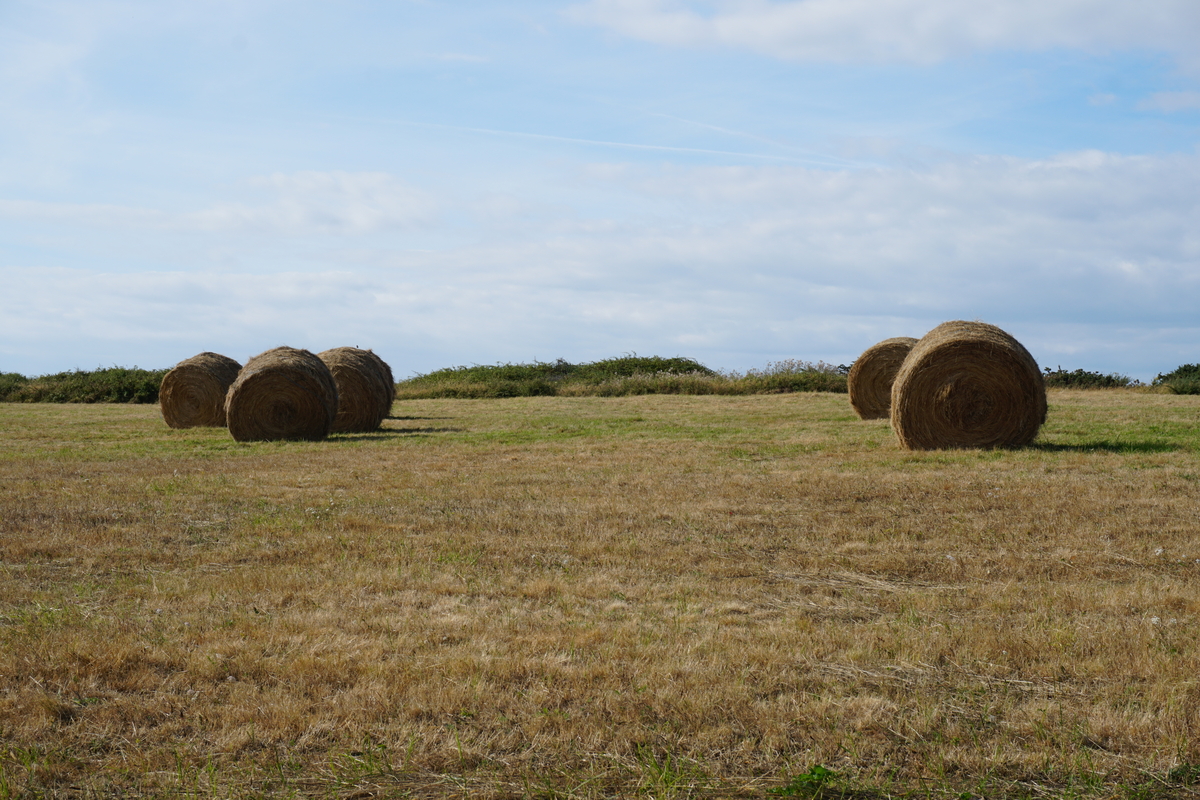 Picture France Belle-Ile 2016-08 219 - City View Belle-Ile