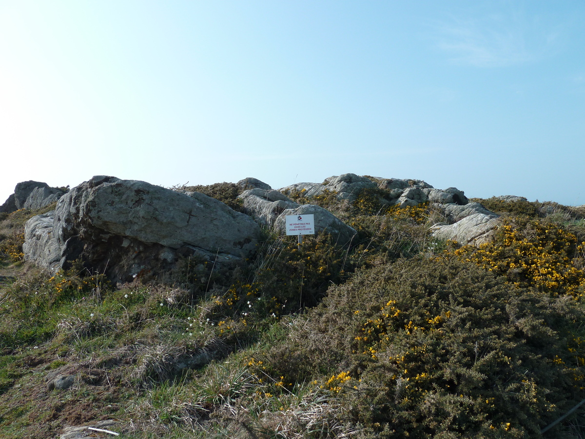 Picture France Grouin Point 2010-04 43 - Summer Grouin Point