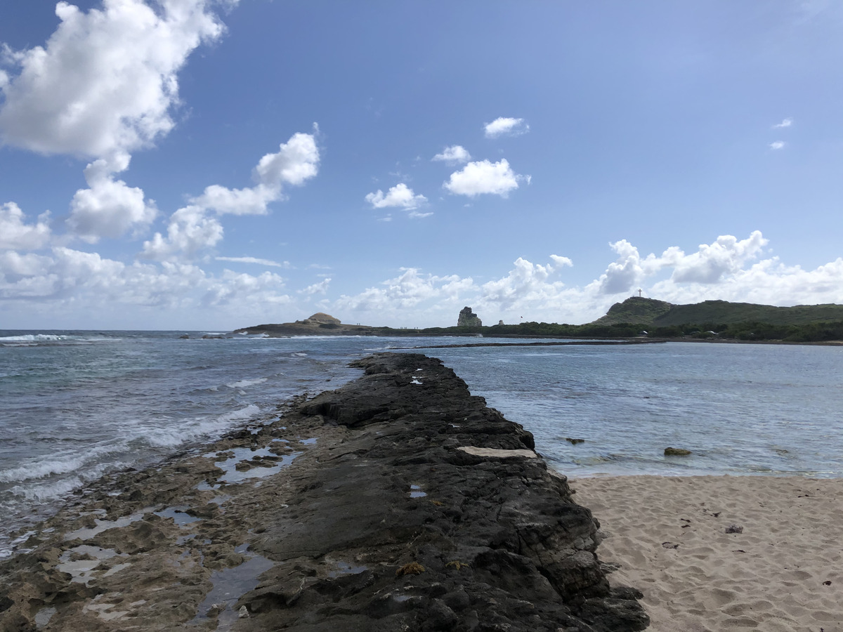 Picture Guadeloupe Grande Anse des Salines Beach 2021-02 0 - Savings Grande Anse des Salines Beach