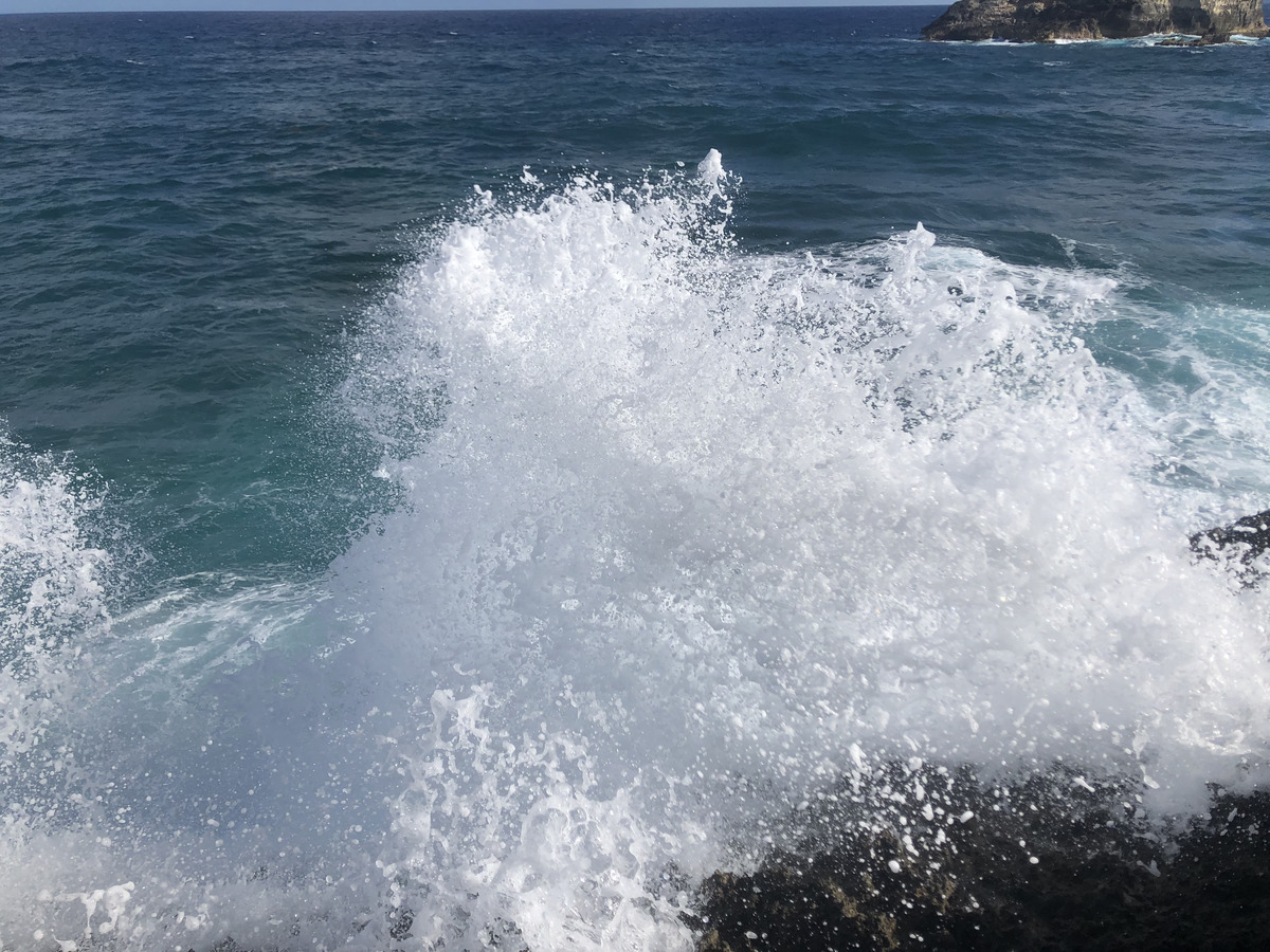 Picture Guadeloupe Castle Point 2021-02 38 - Rain Season Castle Point