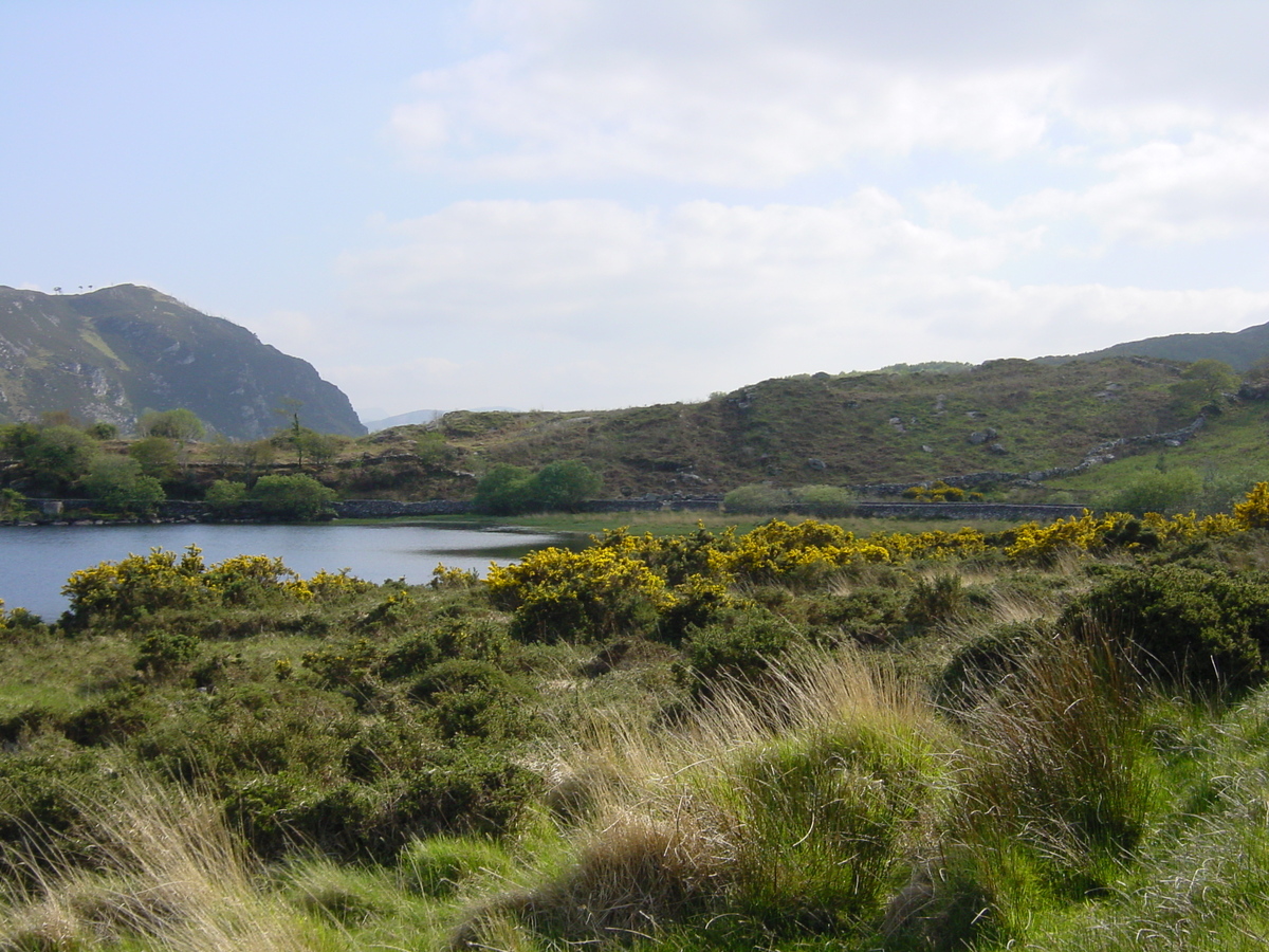 Picture Ireland Kerry Caragh Lake 2004-05 42 - Cost Caragh Lake