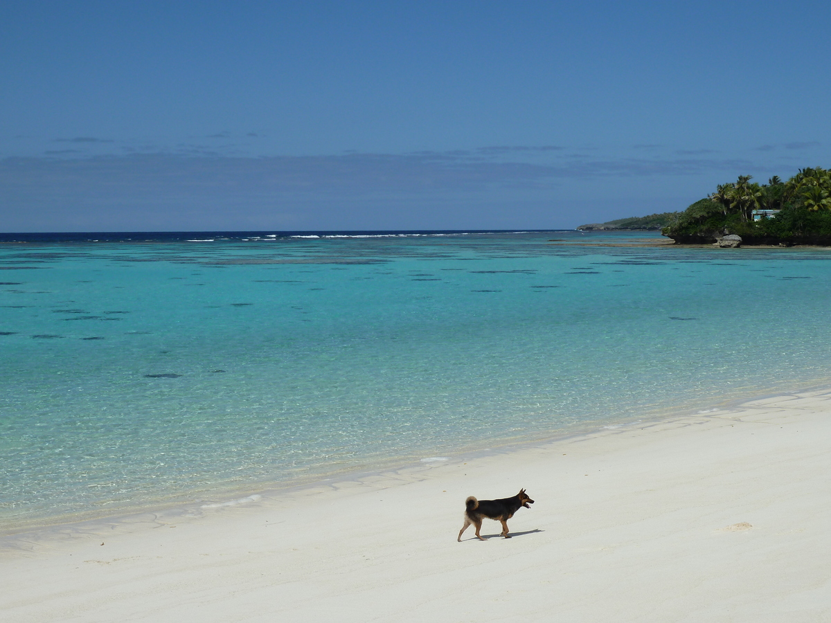 Picture New Caledonia Lifou Mu 2010-05 53 - Cost Mu