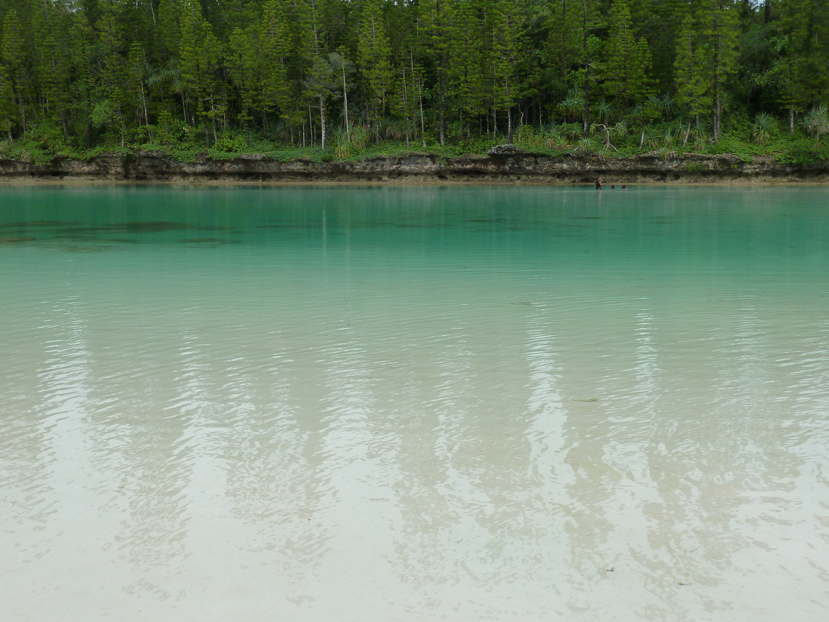 Picture New Caledonia Ile des pins Oro Bay 2010-05 45 - Hot Season Oro Bay