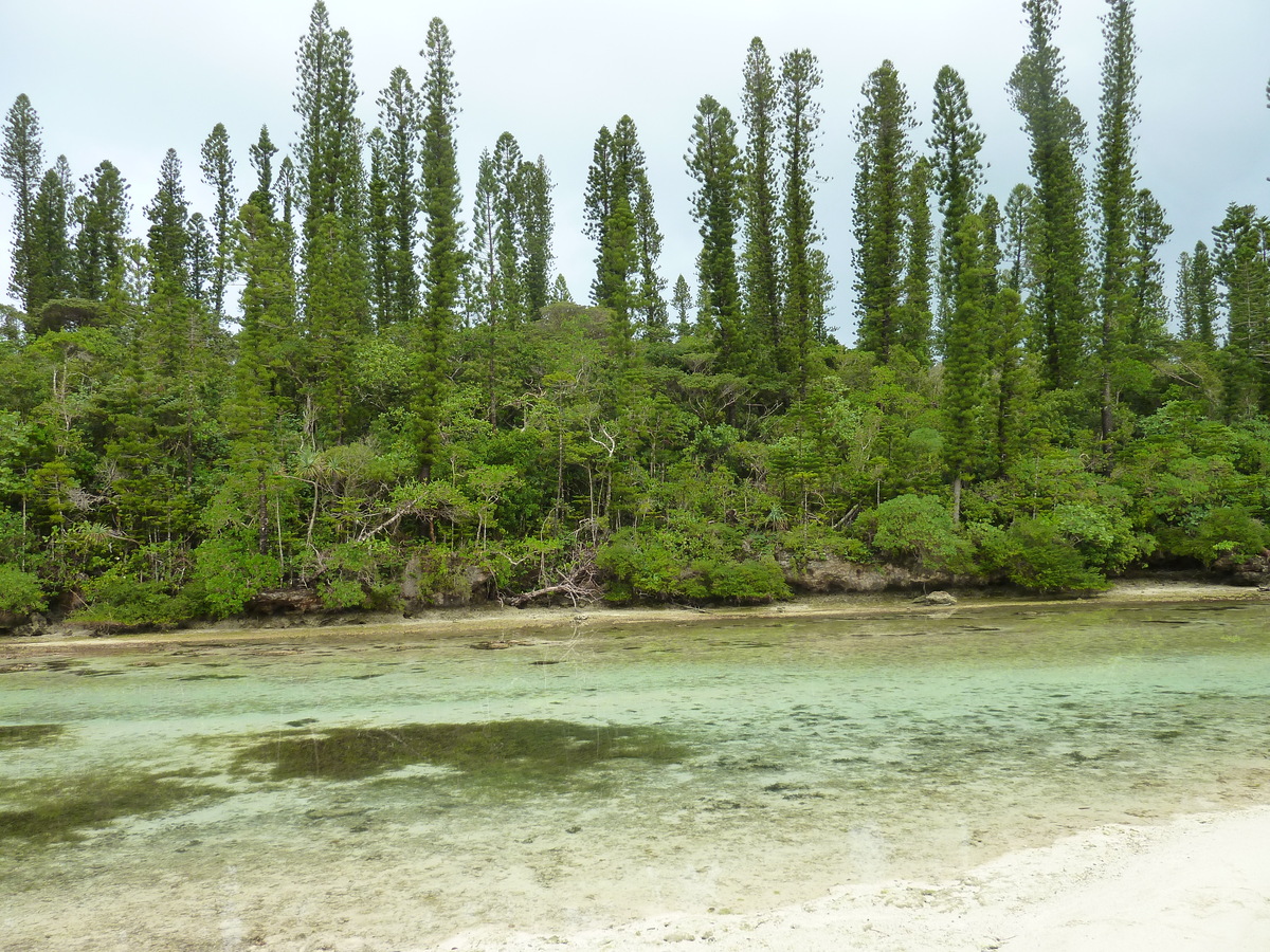 Picture New Caledonia Ile des pins Oro Bay 2010-05 53 - Price Oro Bay