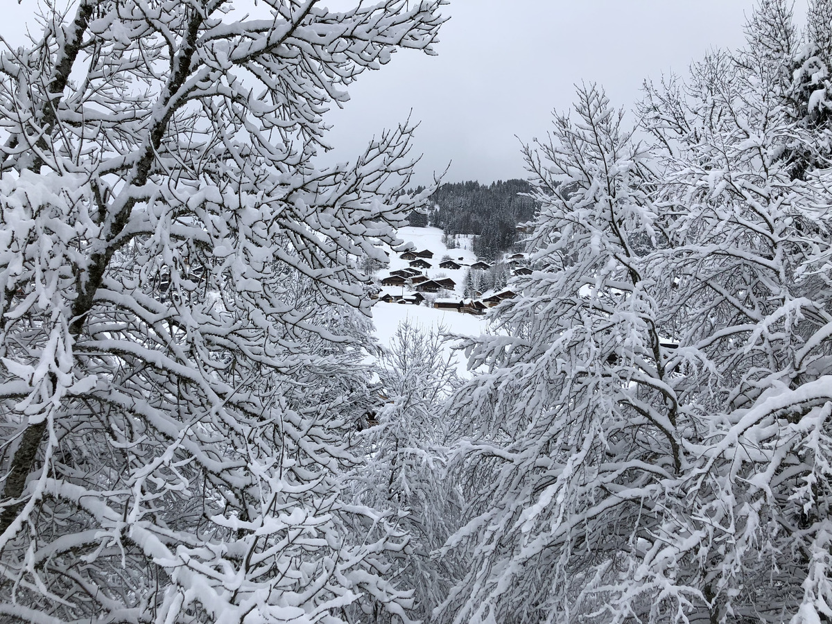 Picture France La Clusaz 2017-12 280 - Waterfalls La Clusaz