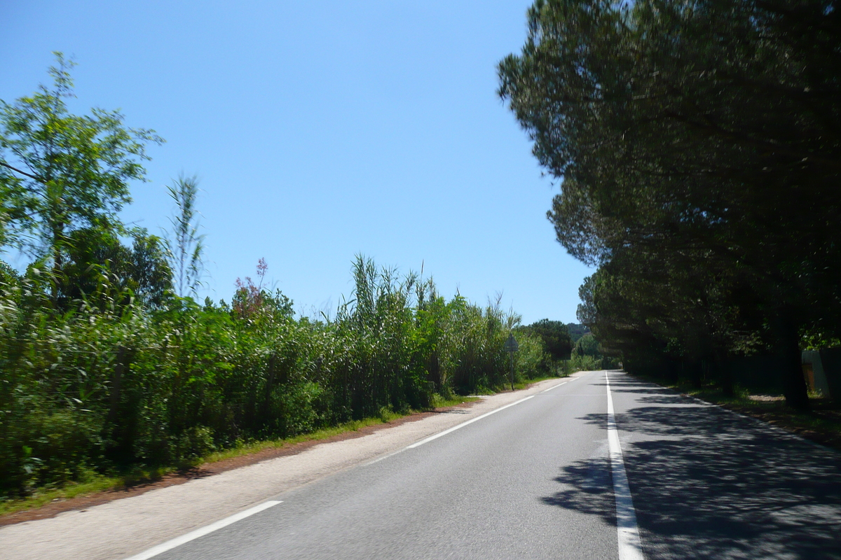 Picture France French Riviera Hyeres peninsula 2008-05 19 - Streets Hyeres peninsula