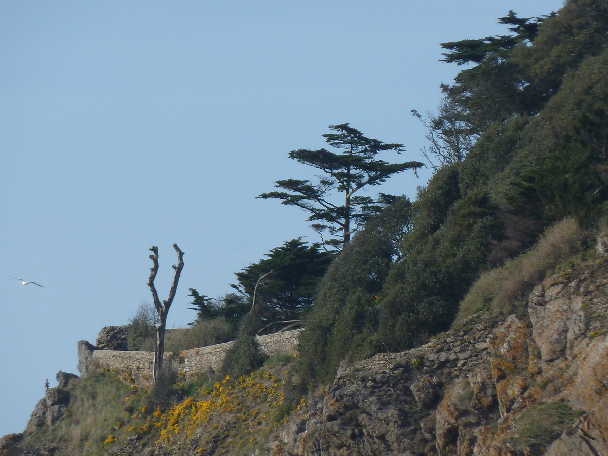 Picture France St Coulomb Du Guesclin Bay 2010-04 4 - Saving Du Guesclin Bay