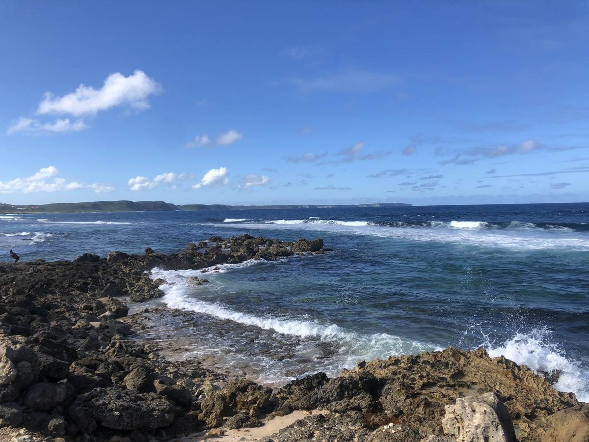 Picture Guadeloupe Le Moule 2021-02 2 - Hotels Le Moule