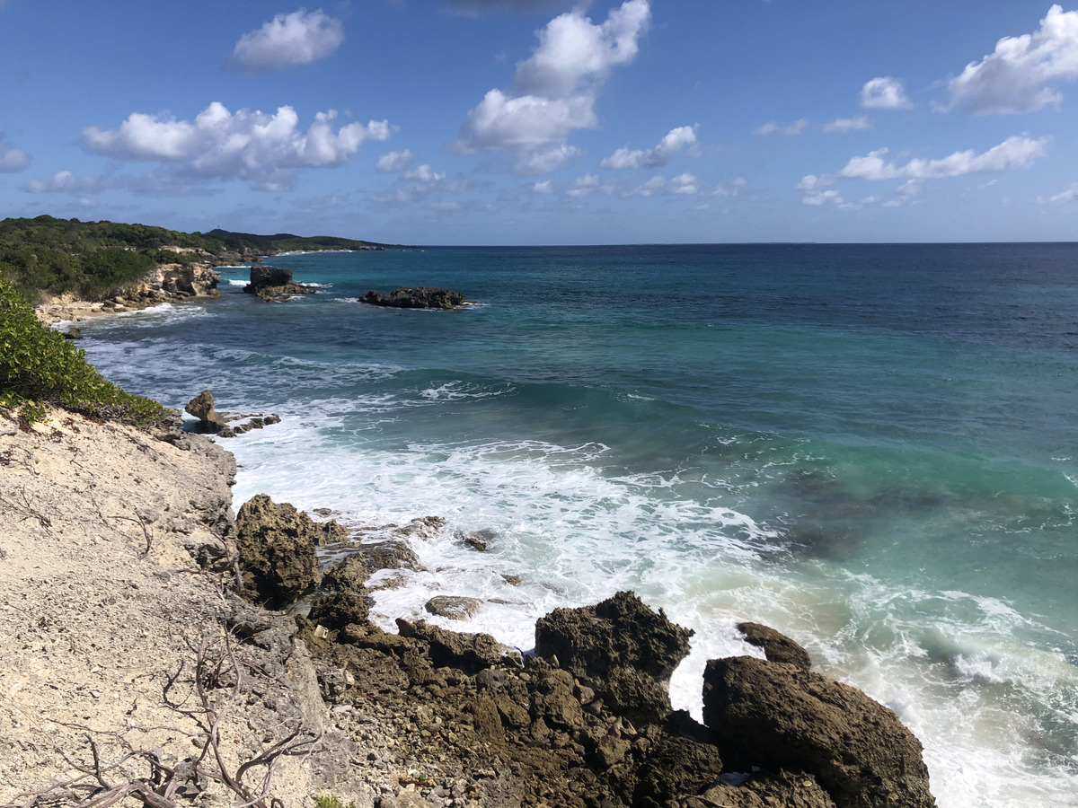 Picture Guadeloupe Saint Francois 2021-02 52 - Cost Saint Francois