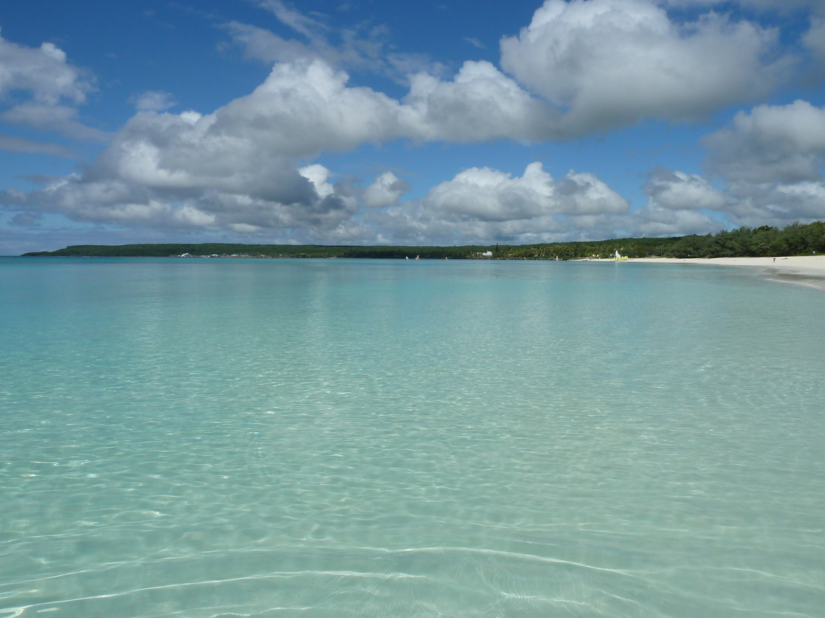 Picture New Caledonia 2010-05 39 - Saving New Caledonia