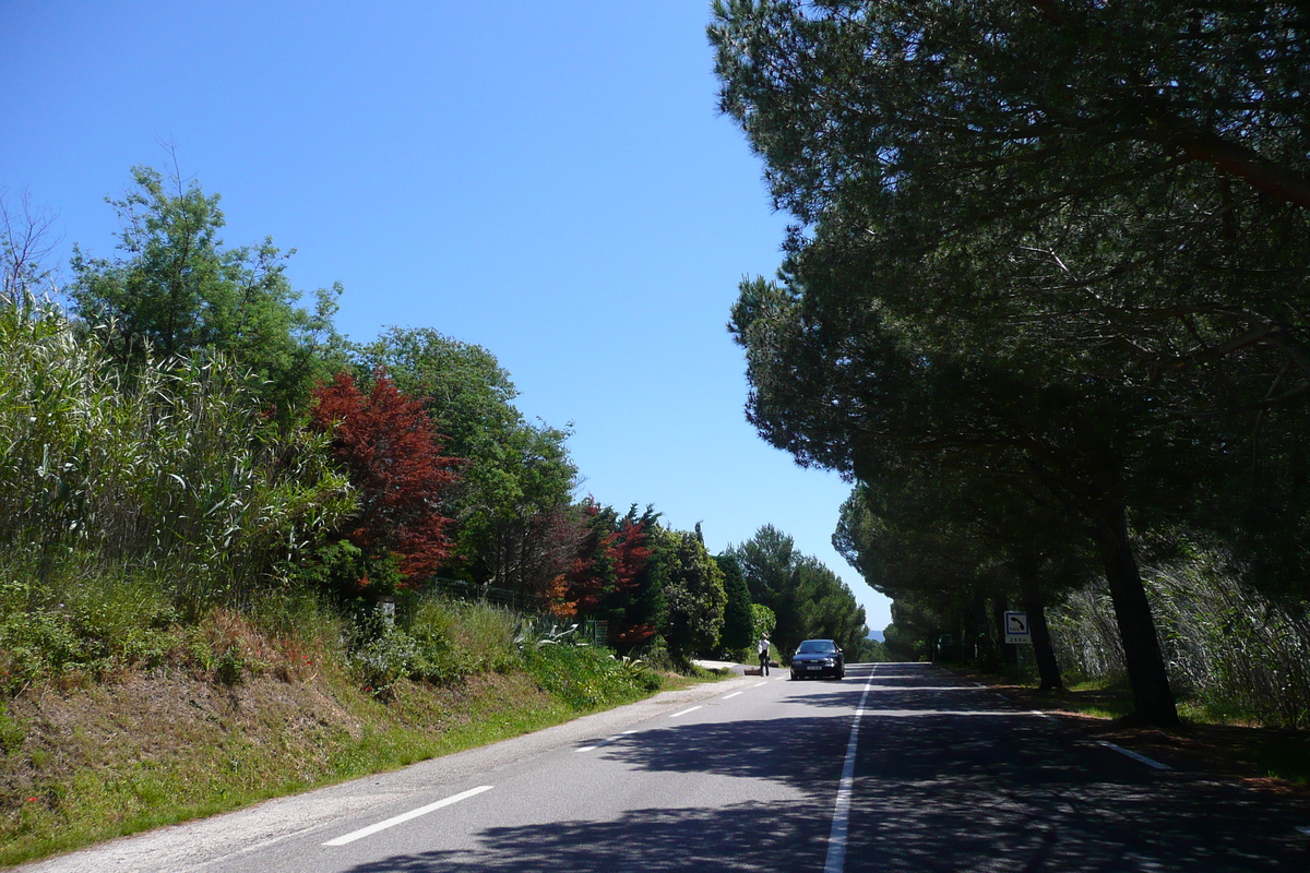 Picture France French Riviera Hyeres peninsula 2008-05 13 - Savings Hyeres peninsula