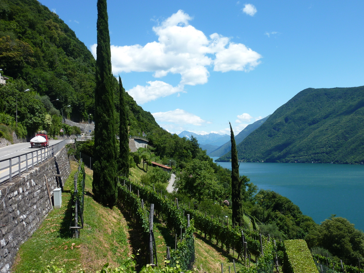 Picture Swiss Gandria 2009-06 31 - To see Gandria