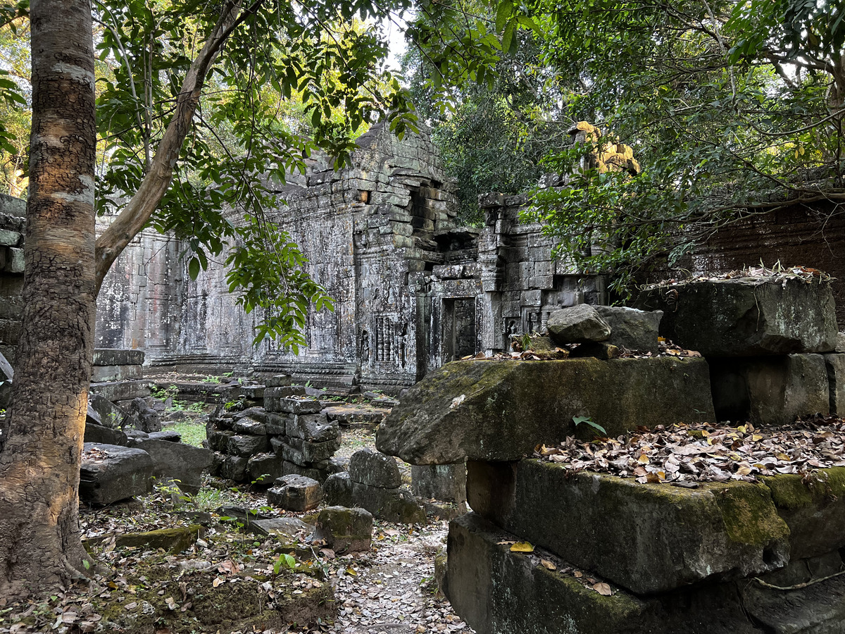 Picture Cambodia Siem Reap Preah Khan 2023-01 63 - Waterfalls Preah Khan