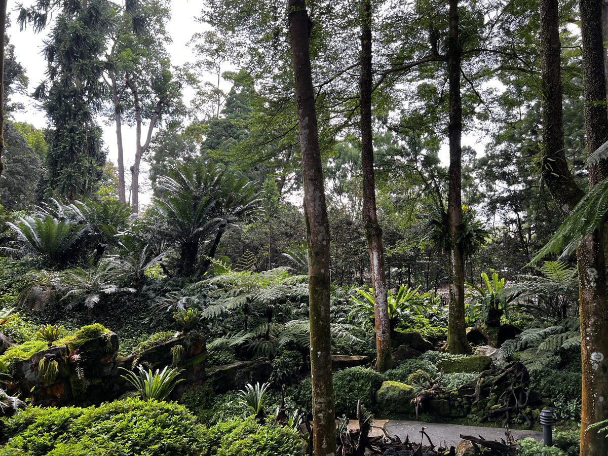 Picture Singapore Singapore Botanic Gardens 2023-01 39 - Rentals Singapore Botanic Gardens