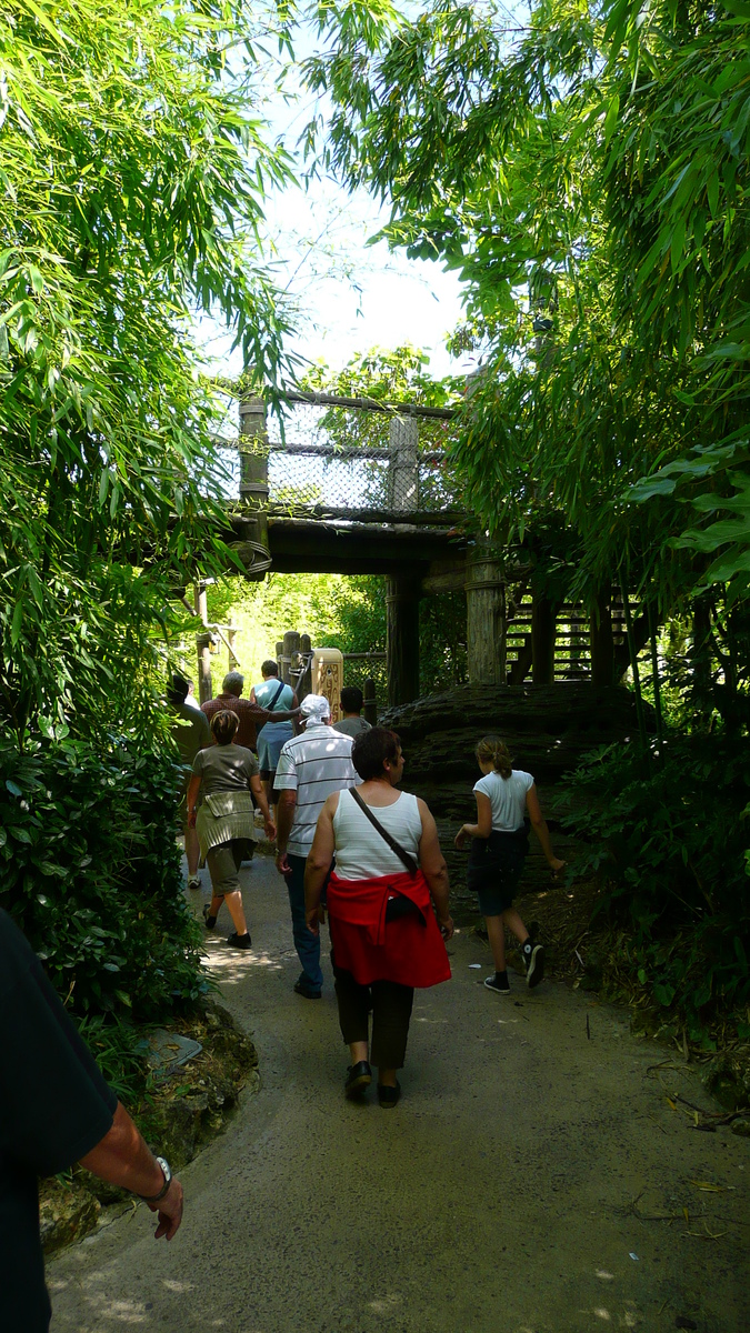 Picture France Disneyland Paris Adventure Isle 2007-07 6 - Sauna Adventure Isle